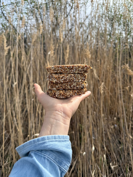 EASY Banana Oat Bars