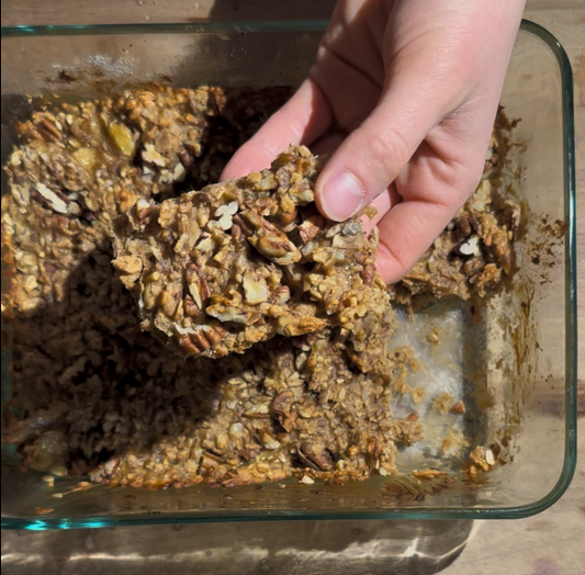 EASY Banana Oat Bars